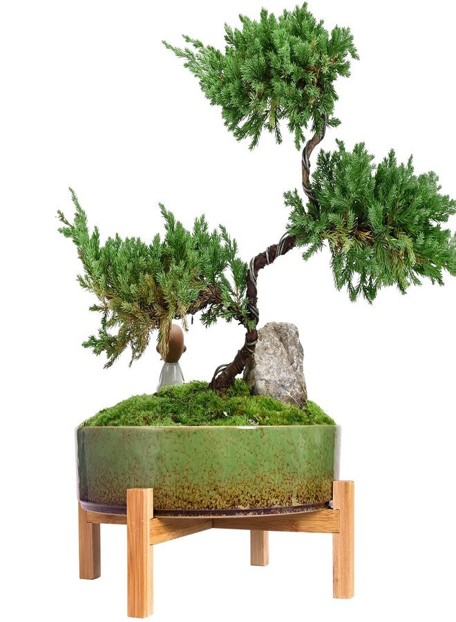 ARTKETTY Succulent Planters - 11 Inch Large Succulent Pots with Drainage, Ceramic Bonsai Pots with Bamboo Stand Shallow Planters for Indoor/Outdoor Plants Modern Cactus Flower Planter Bowl (Green) - Image 1